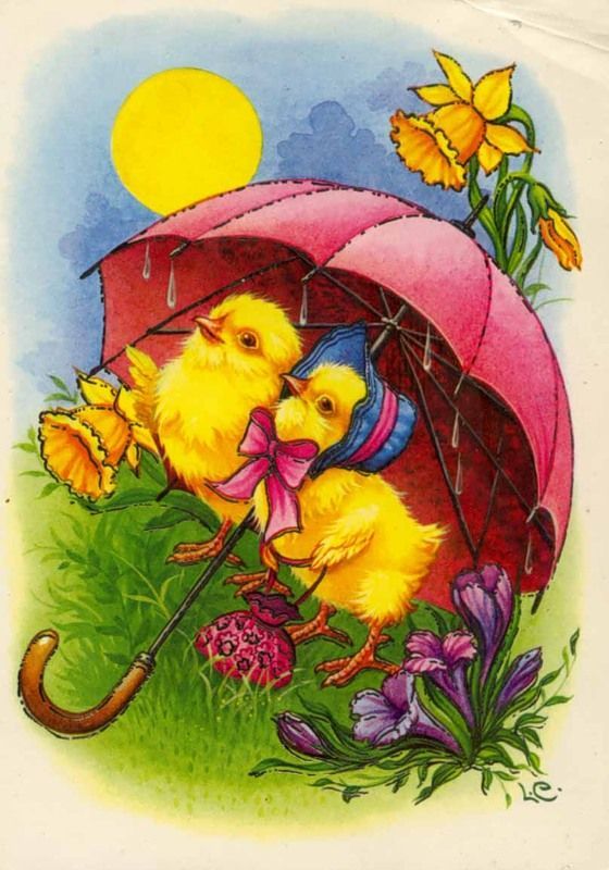 Kurczaki chowające się pod parasolem